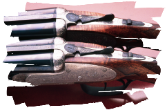 Armas Gravex Rifles Express